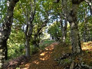 Foldone, Castel Regina, Pizzo Cerro ad anello da Catremerio-11ott22 - FOTOGALLERY